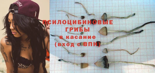 ПСИЛОЦИБИНОВЫЕ ГРИБЫ Медвежьегорск