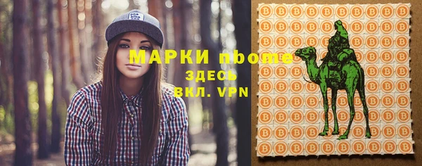 ПСИЛОЦИБИНОВЫЕ ГРИБЫ Медвежьегорск