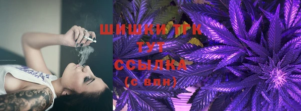 ПСИЛОЦИБИНОВЫЕ ГРИБЫ Медвежьегорск