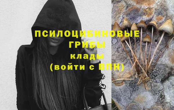 первитин Медногорск
