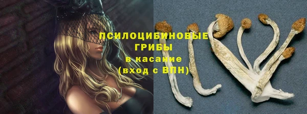 первитин Медногорск